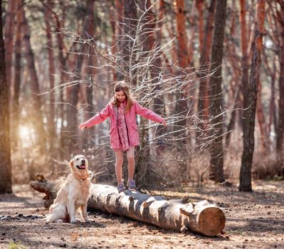 Little girl walks on a log with golden retriever dog in the wood in sunny day