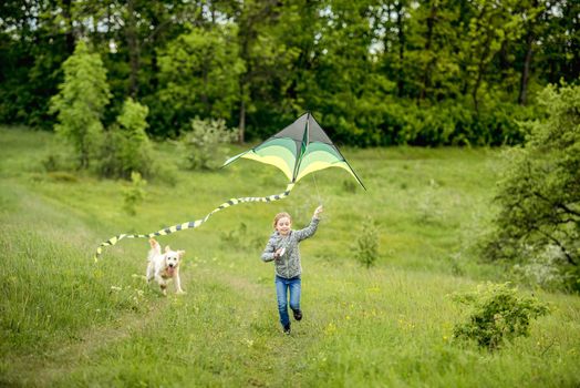 Smiling little girl playing with colorful kite on spring meadow