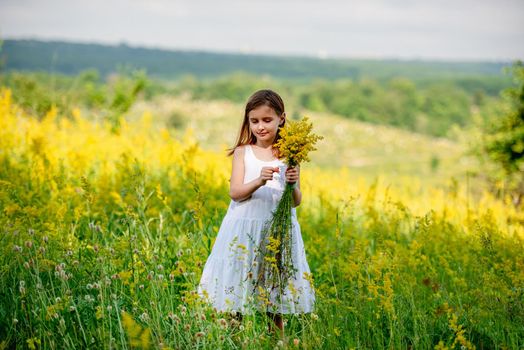 Cute little girl holding wildflower bouquet on blooming field background