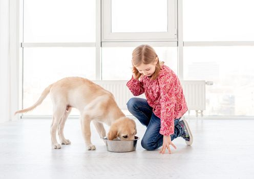 Lovely little girl giving food to her beautiful dog indoors