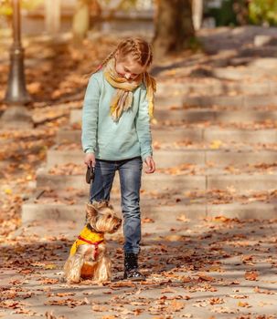 Cute little girl with yorkshire terrier in autumn park