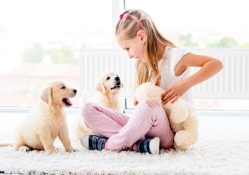 Puppies play with cheerful girl holding teddy bear