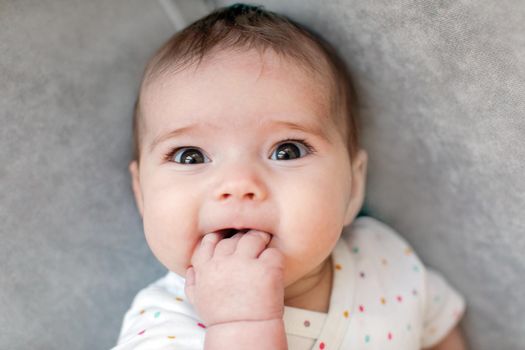 From above shot of adorable baby chewing hand and looking at camera while lying on comfortable couch