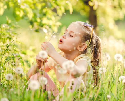 Pretty small girl likes to play with fluffy dandelions on summer meadow
