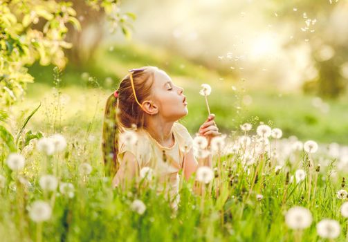 Pretty small girl likes to play with fluffy dandelions on summer meadow