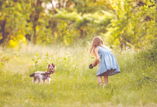 Little kid girl in blue dress running with the dog in the countryside at susnset