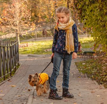 Cute little girl walking in autumn park with yorkshire terrier