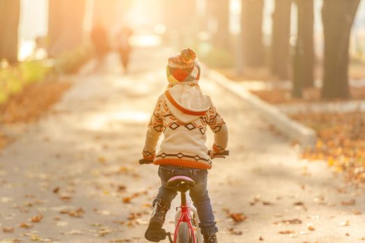 Back view of kid riding bicycle in autumn park