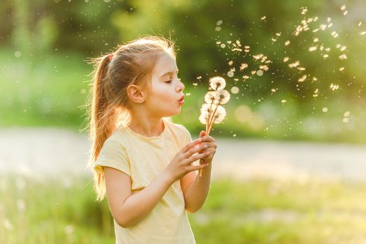 Beatiful girl child loves to spend her leisure at meadow, collecting flowers and playing with dandelions