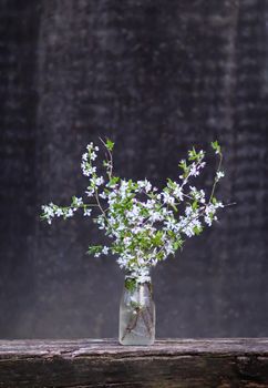 Spring cherry bouquet in a glass vase outdoors