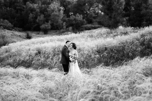 A couple in love a guy and a girl on a walk in the forest belt