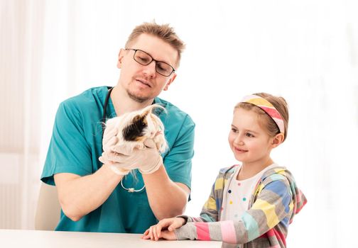 Peruwian guinea pig was brought to veterinarian clinic by little girl-owner, isolated on white background