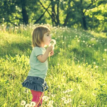 Happy little girl on the field with dandelions