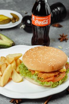 hamburger with fries and salad on the plate.