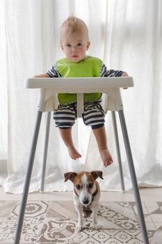 Adorable little boy sitting and small dog under child high chair looking at camera