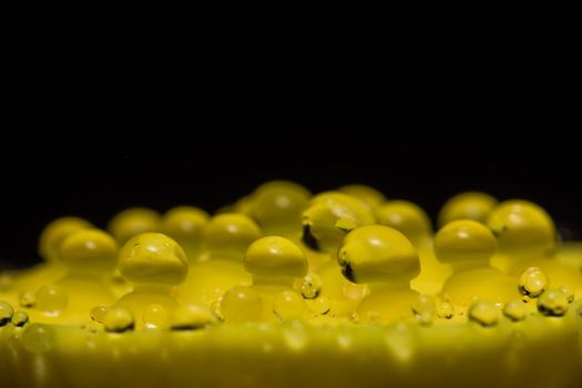 Macro water droplets on yellow plants