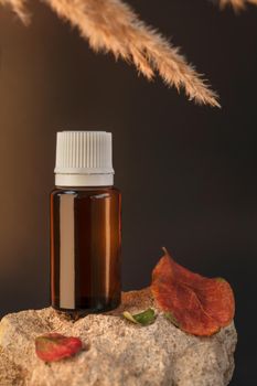 Amber glass bottle standing on a stone with apple leaves and pampas grass. Autumn cosmetic concept composition. Wooden scent aroma oil presentation. Luxury product advertising mockup