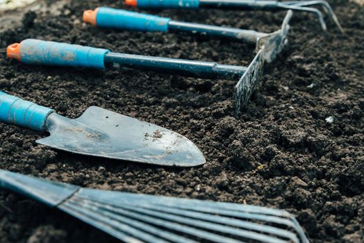 Different gardening equipment on soil, side view