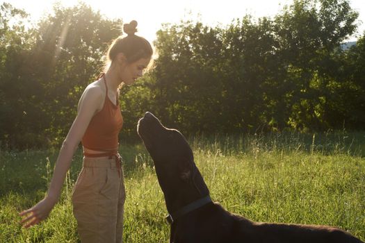 cheerful woman playing with a dog in a field in nature in summer. High quality photo