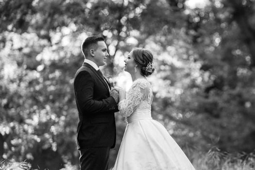 the groom and the bride are walking in the forest near a narrow river on a bright day