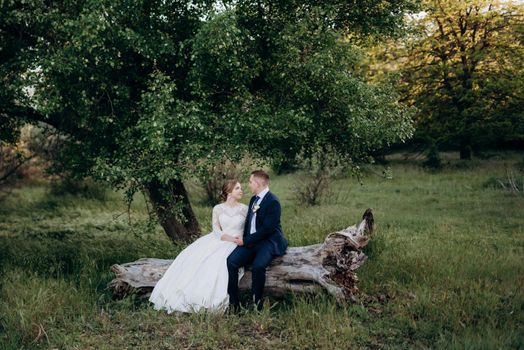 the groom and the bride are walking in the forest near a narrow river on a bright day