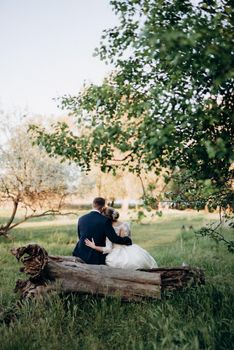 the groom and the bride are walking in the forest near a narrow river on a bright day