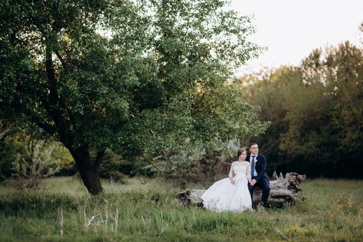 the groom and the bride are walking in the forest near a narrow river on a bright day