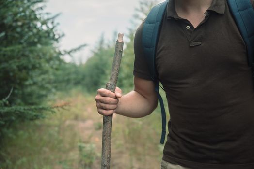Young hiker man walking with a wooden stick in the summer forest, face is not visible
