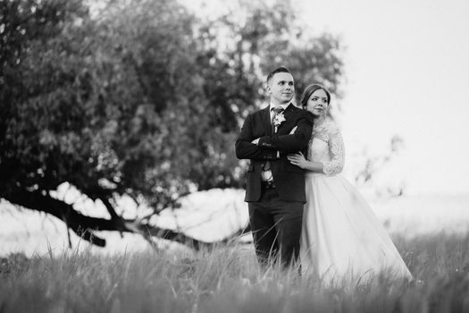 the groom and the bride are walking in the forest near a narrow river on a bright day