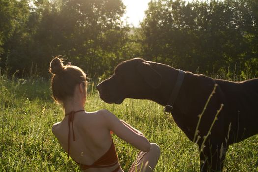 cheerful woman playing with a dog in a field in nature in summer. High quality photo
