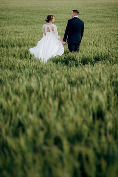 the groom and the bride walk along the wheat green field on a bright day