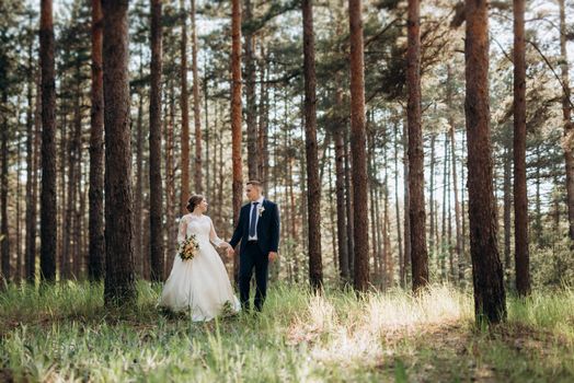 the bride and groom are walking in a pine forest on a bright day