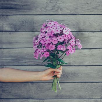 Bouquet of phlox flowers in female hand on wooden background