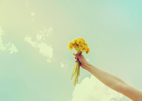 Woman holding bouquet of yellow dandelions on background of sky in summer, close-up of hand with flowers. Image with instagram color effect