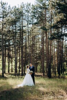 the bride and groom are walking in a pine forest on a bright day