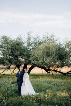 the groom and the bride are walking in the forest near a narrow river on a bright day