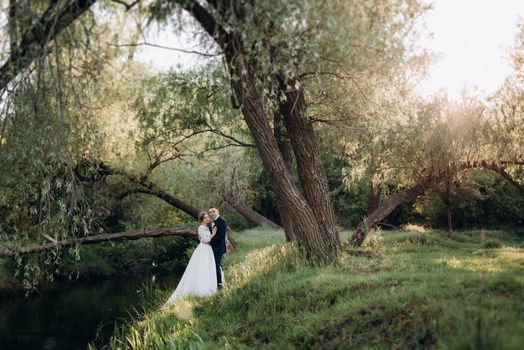 the groom and the bride are walking in the forest near a narrow river on a bright day