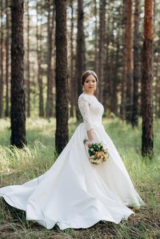 the bride walking in a pine forest on a bright day