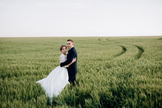 the groom and the bride walk along the wheat green field on a bright day