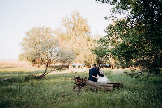 the groom and the bride are walking in the forest near a narrow river on a bright day