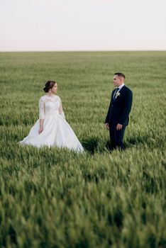 the groom and the bride walk along the wheat green field on a bright day