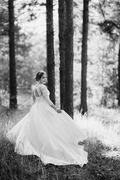 the bride walking in a pine forest on a bright day