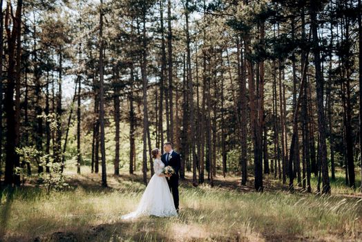 the bride and groom are walking in a pine forest on a bright day