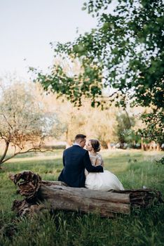 the groom and the bride are walking in the forest near a narrow river on a bright day