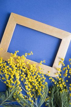 Spring concept, top view. Mimosa and gold frame on blue background. Mimosa close-up. Happy spring. Space for text.