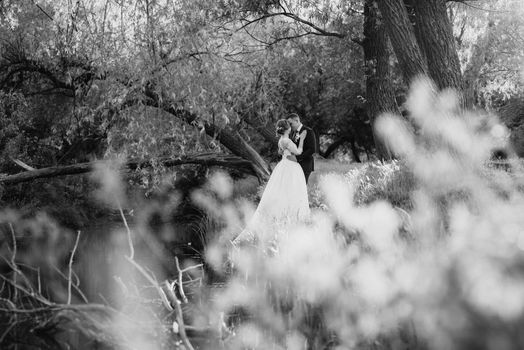 the groom and the bride are walking in the forest near a narrow river on a bright day