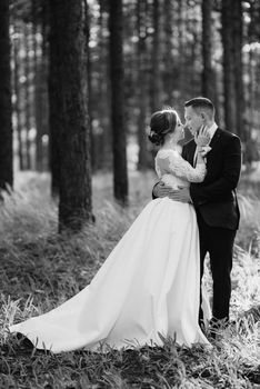 the bride and groom are walking in a pine forest on a bright day