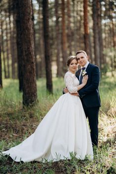 the bride and groom are walking in a pine forest on a bright day