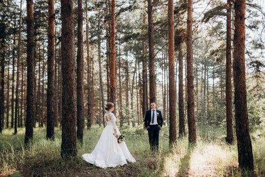 the bride and groom are walking in a pine forest on a bright day