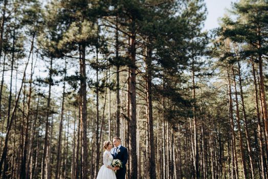 the bride and groom are walking in a pine forest on a bright day